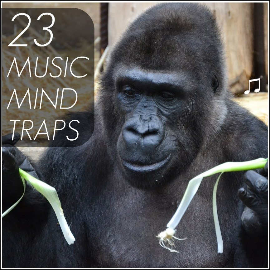 gorilla-mindtraps2